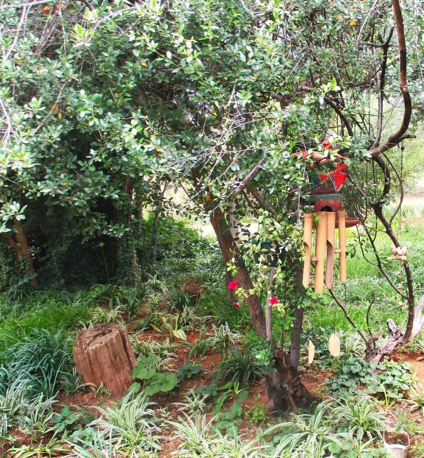 Lekker Rus Apartamento Bloemfontein Exterior foto